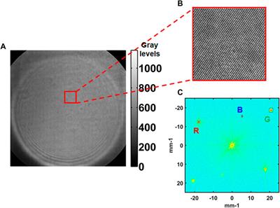 Multi-View Acoustic Field Imaging With Digital Color Holography